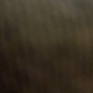 Meet your Posher, Cody